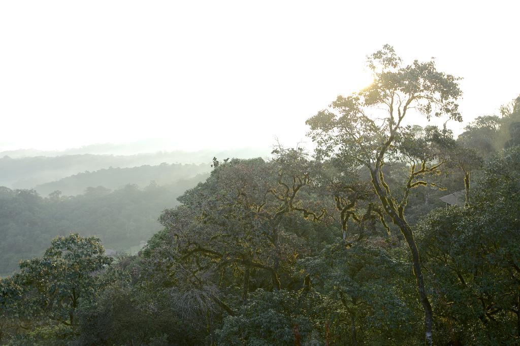 Taj Madikeri Resort & Spa Coorg Eksteriør billede